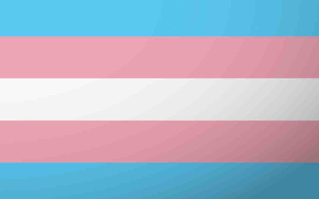 Leicester Demonstration for Trans Rights: What’s Next